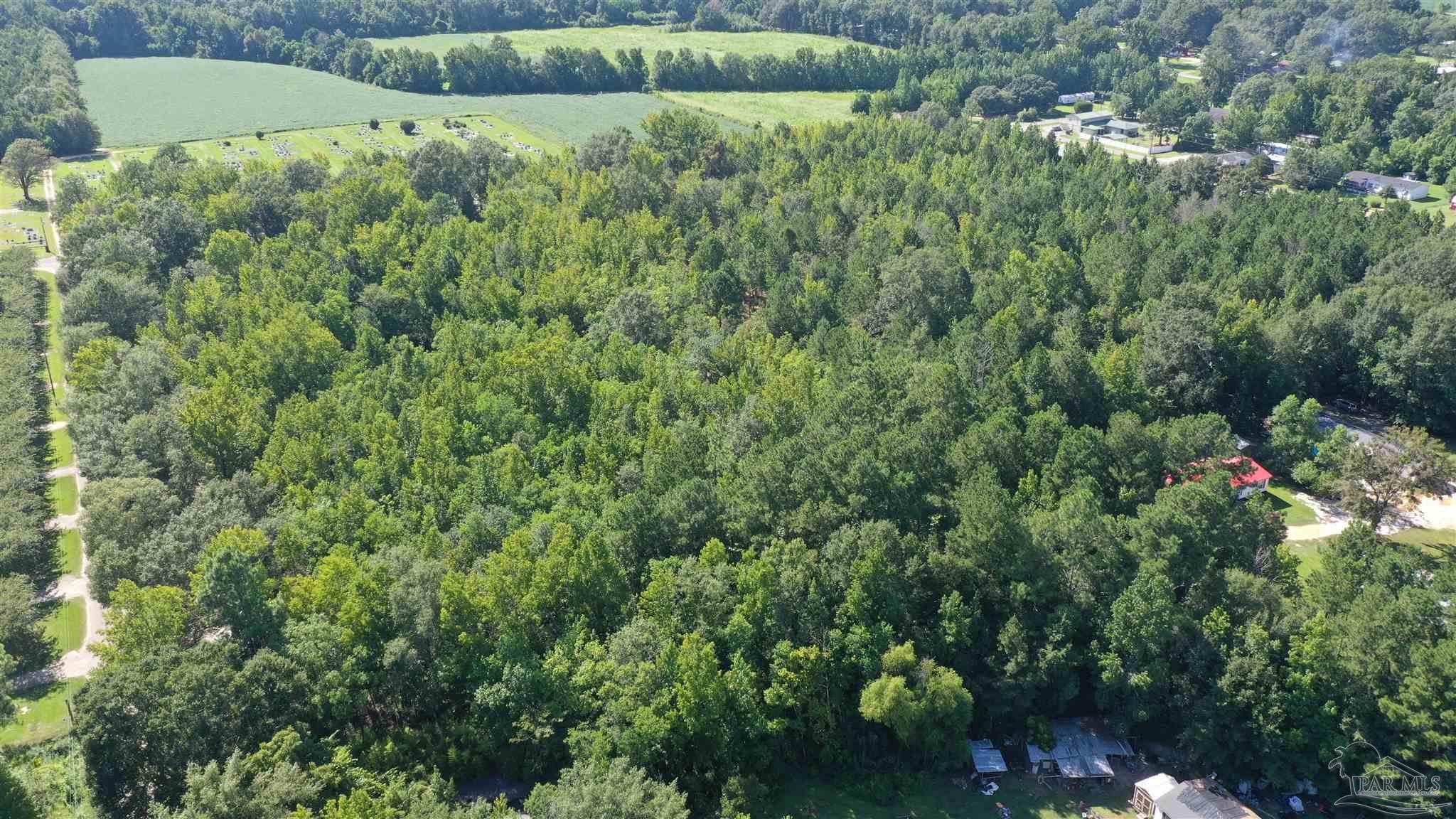 6 Harris Street Atmore, AL 36502 - Photo 13 of 16 a view of a lush green forest