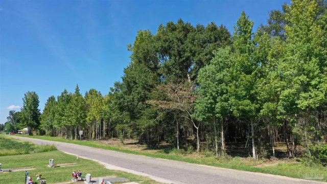 a view of a green yard