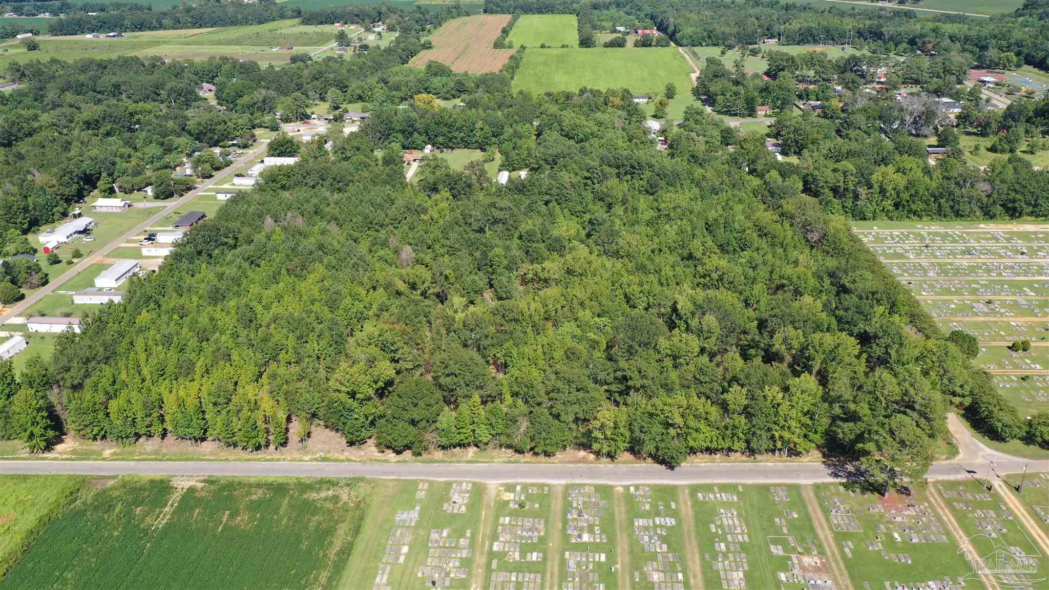 6 Harris Street Atmore, AL 36502 - Photo 14 of 16 a view of a green yard