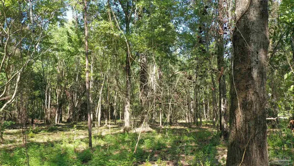 $21,730 | Lot 6 Harris Street, Atmore, AL 36502