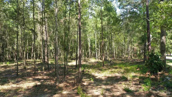 $21,730 | Lot 6 Harris Street, Atmore, AL 36502