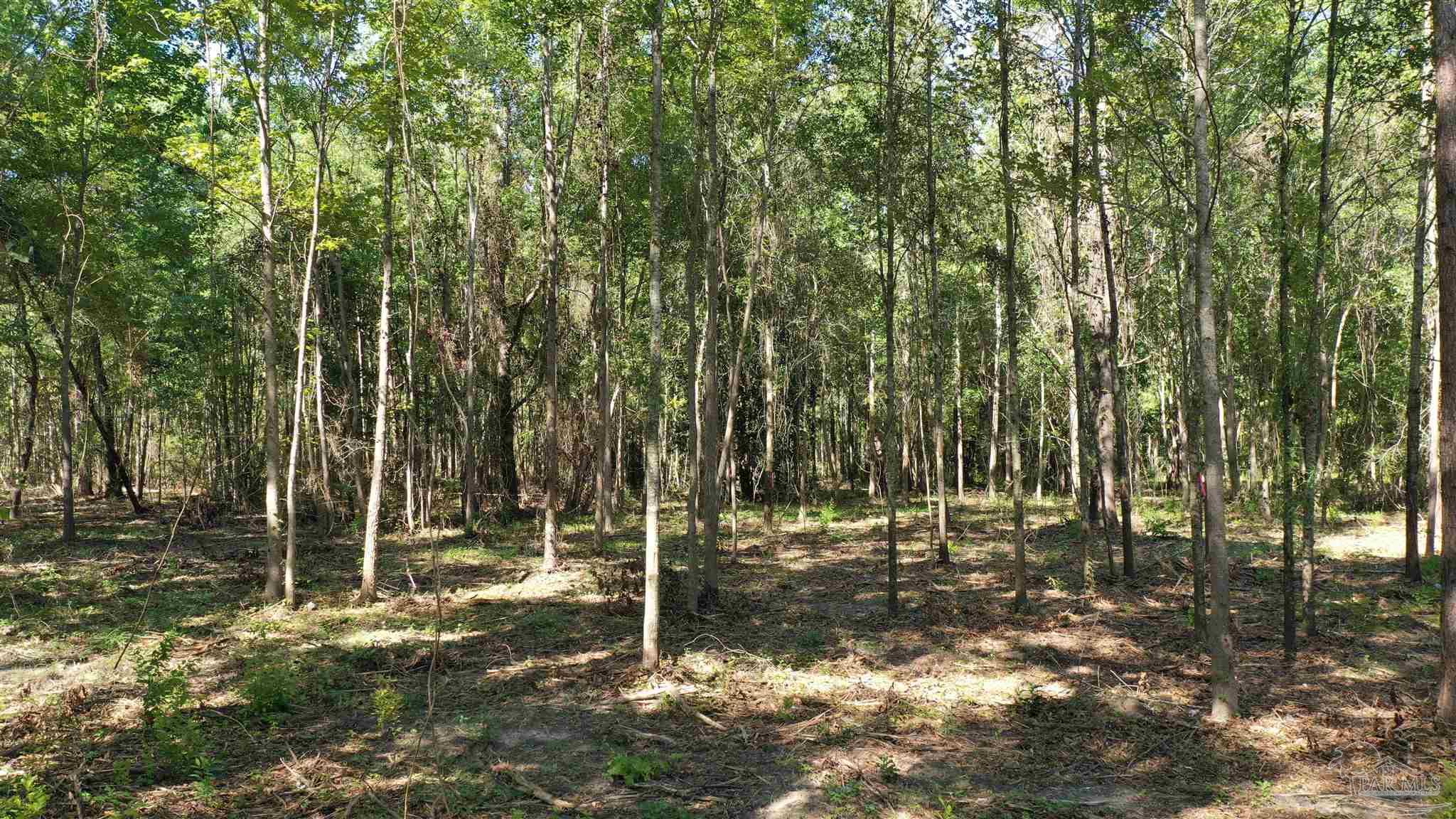 6 Harris Street Atmore, AL 36502 - Photo 6 of 16 a backyard of a house with lots of green space