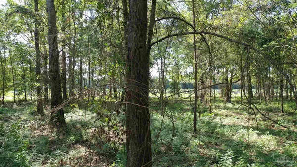 $21,730 | Lot 6 Harris Street, Atmore, AL 36502