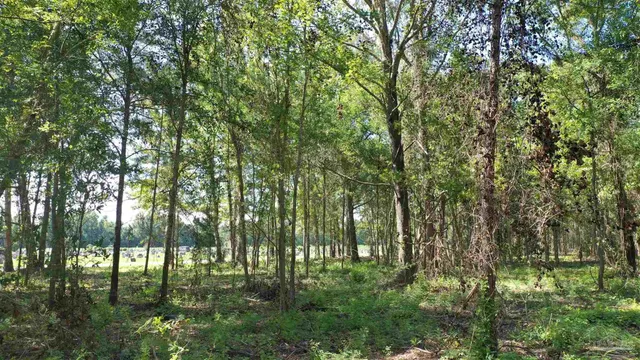 $21,730 | 6 Harris Street, Atmore, AL 36502