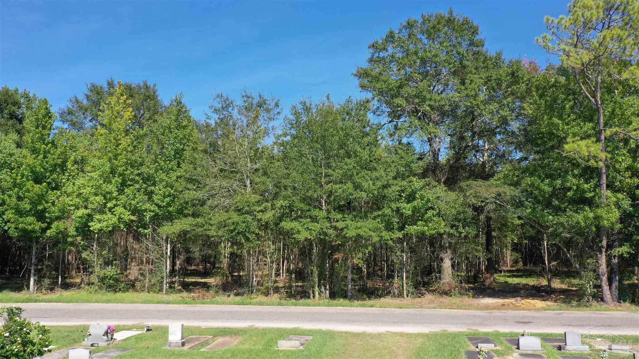 6 Harris Street Atmore, AL 36502 - Photo 10 of 16 a view of a yard