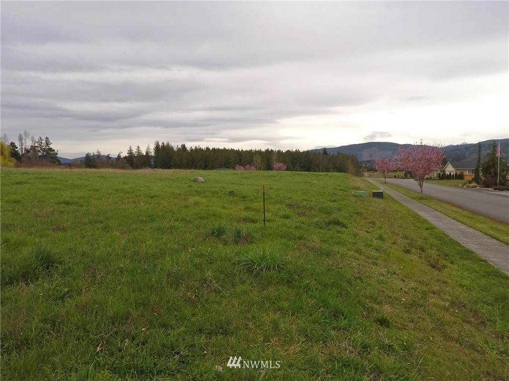 10 Morgison Loop Sequim, WA 98382 - Photo 18 of 25