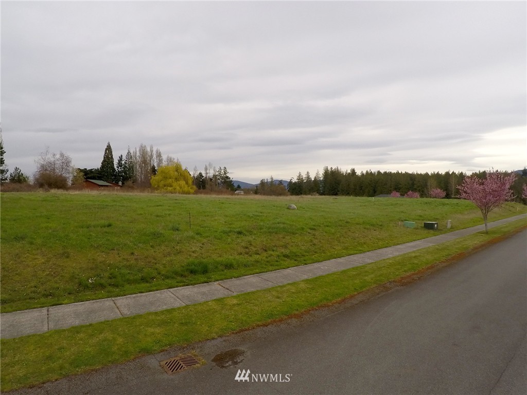 10 Morgison Loop Sequim, WA 98382 - Photo 5 of 25