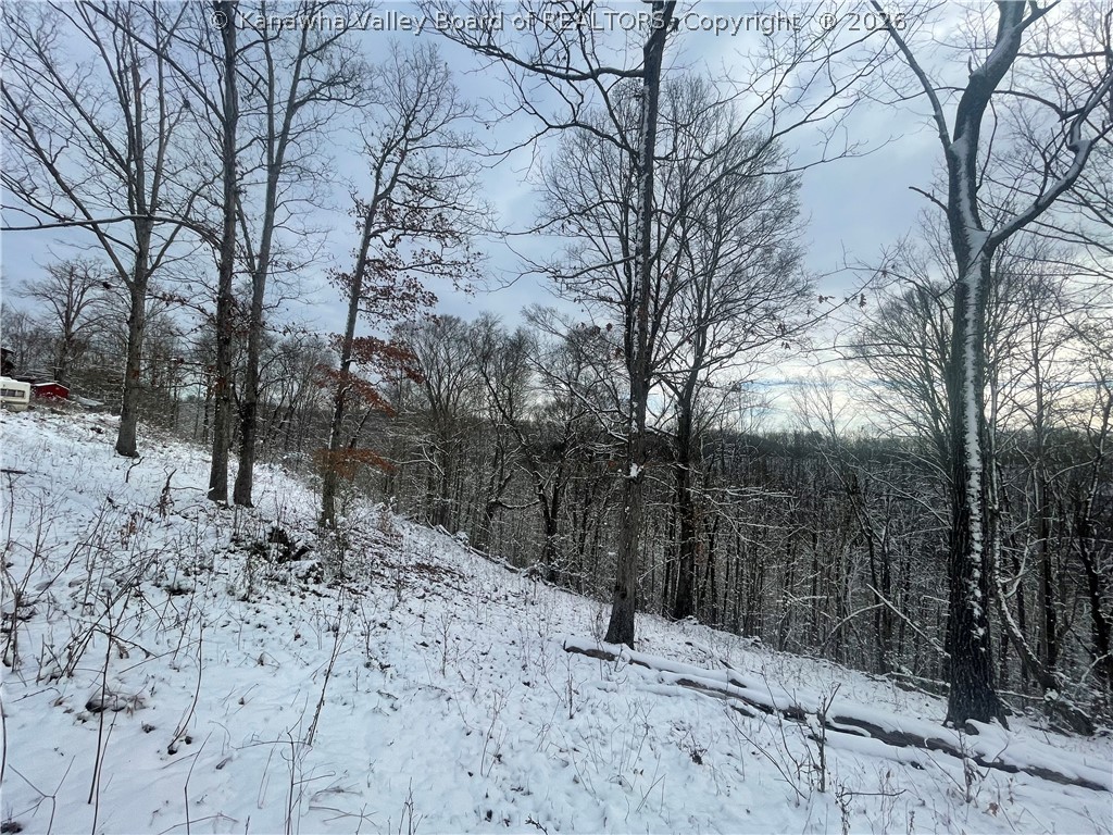 0 Grouse Ridge Sumerco, WV 25567 - Photo 15 of 17 Gallery Image 15
