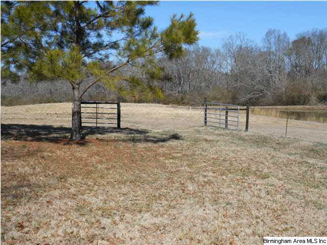 1280 Painter Road Altoona, AL 35952 - Photo 21 of 31 Gallery Image 21