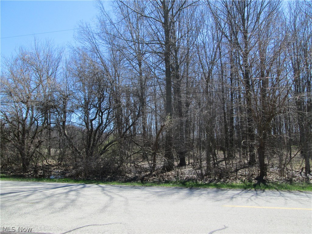 7 Ashmont Road Huron, OH 44839 - Photo 3 of 5