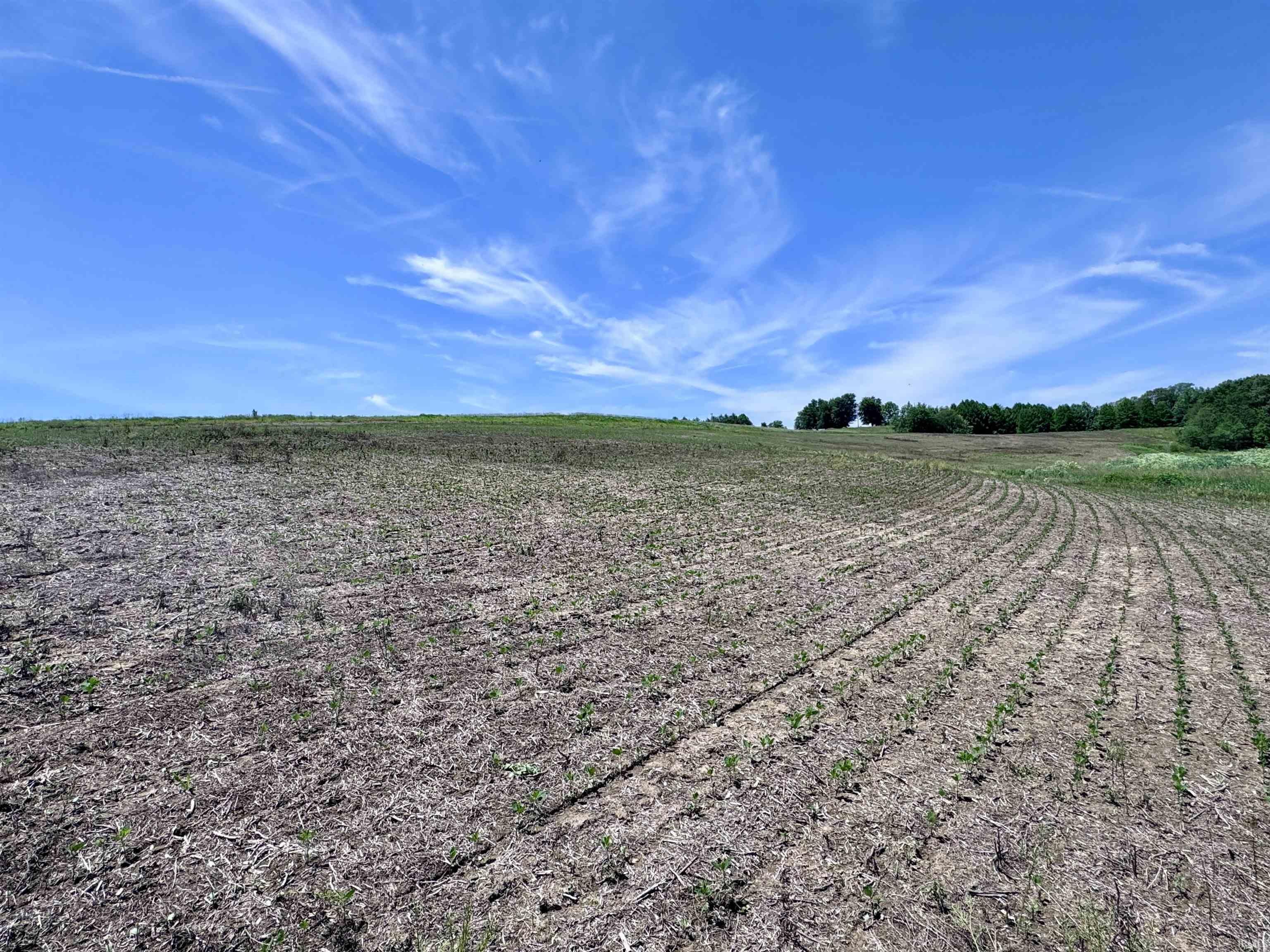 Off Ziegler Road Loogootee, IN 47553 - Photo 19 of 29