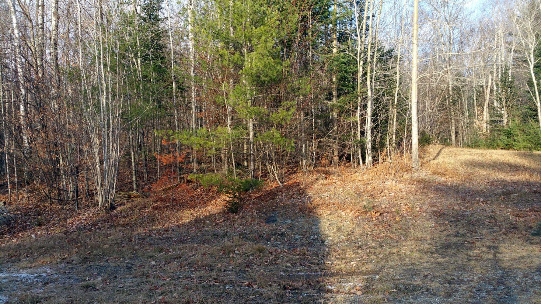 549-567 Pierce Hill Road Moscow, ME 04920 - Photo 16 of 30 20171127_142955_1518804591873