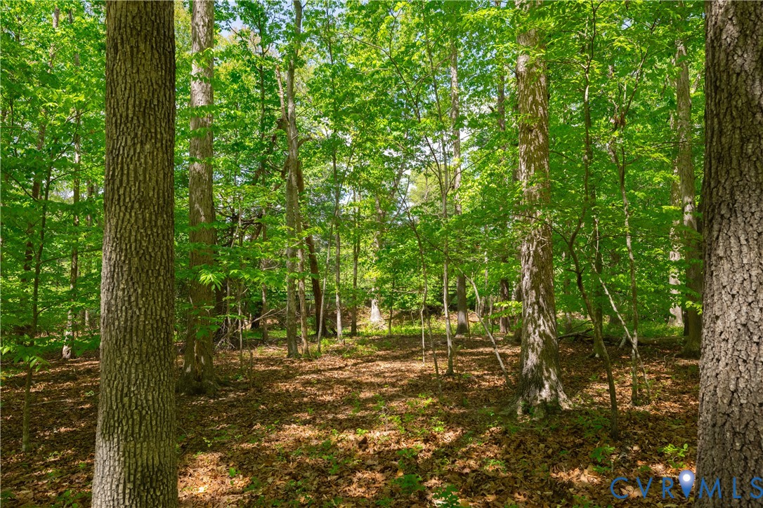45 Keswick Keswick, VA 22947 - Photo 12 of 22 Lots of privacy