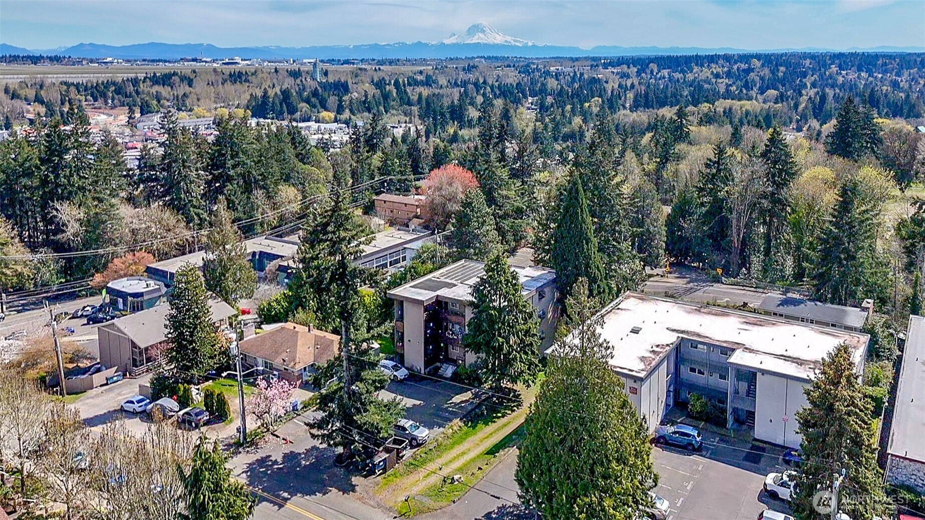 439 Southwest 156th Street Burien, WA 98166 - Photo 14 of 17 an aerial view of a house with a yard