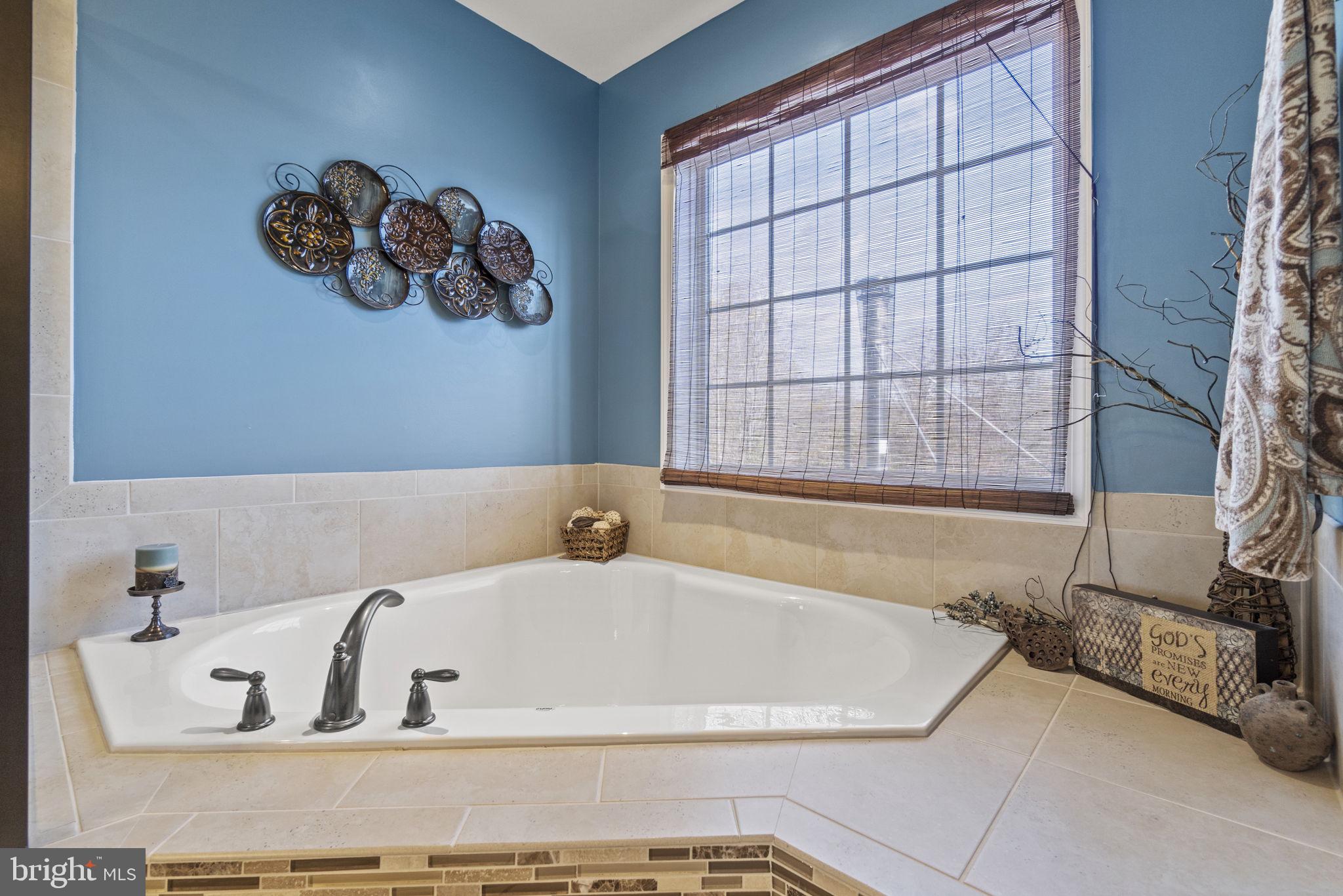 1671 Courthouse Road Stafford, VA 22554 - Photo 22 of 49 Soaking tub with wooded views