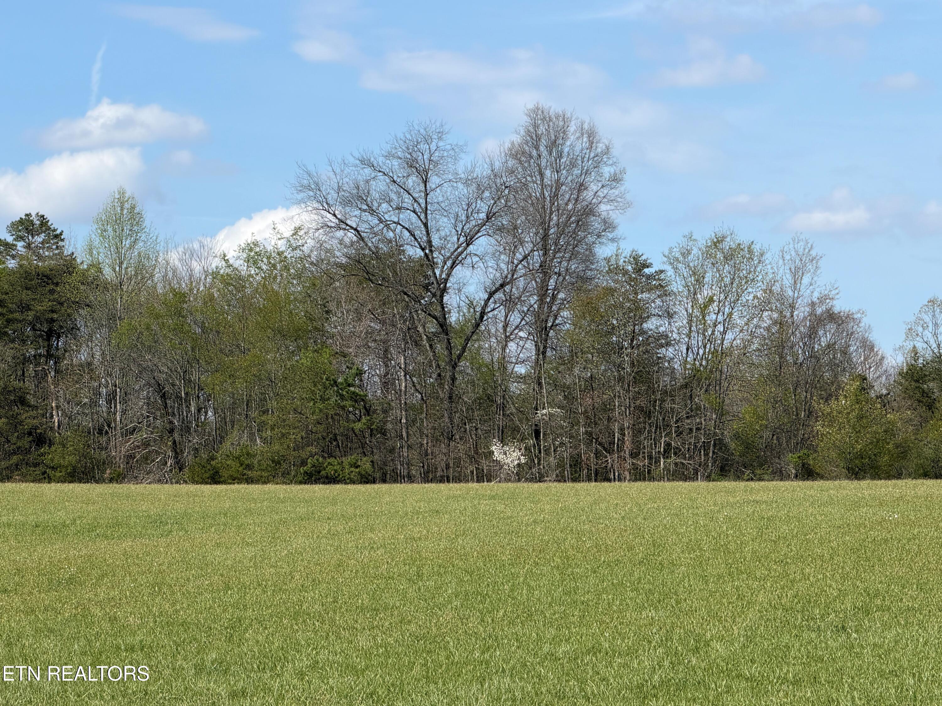1342 Walt Reed Road Grandview, TN 37337 - Photo 4 of 13 Walt Reed Rd13
