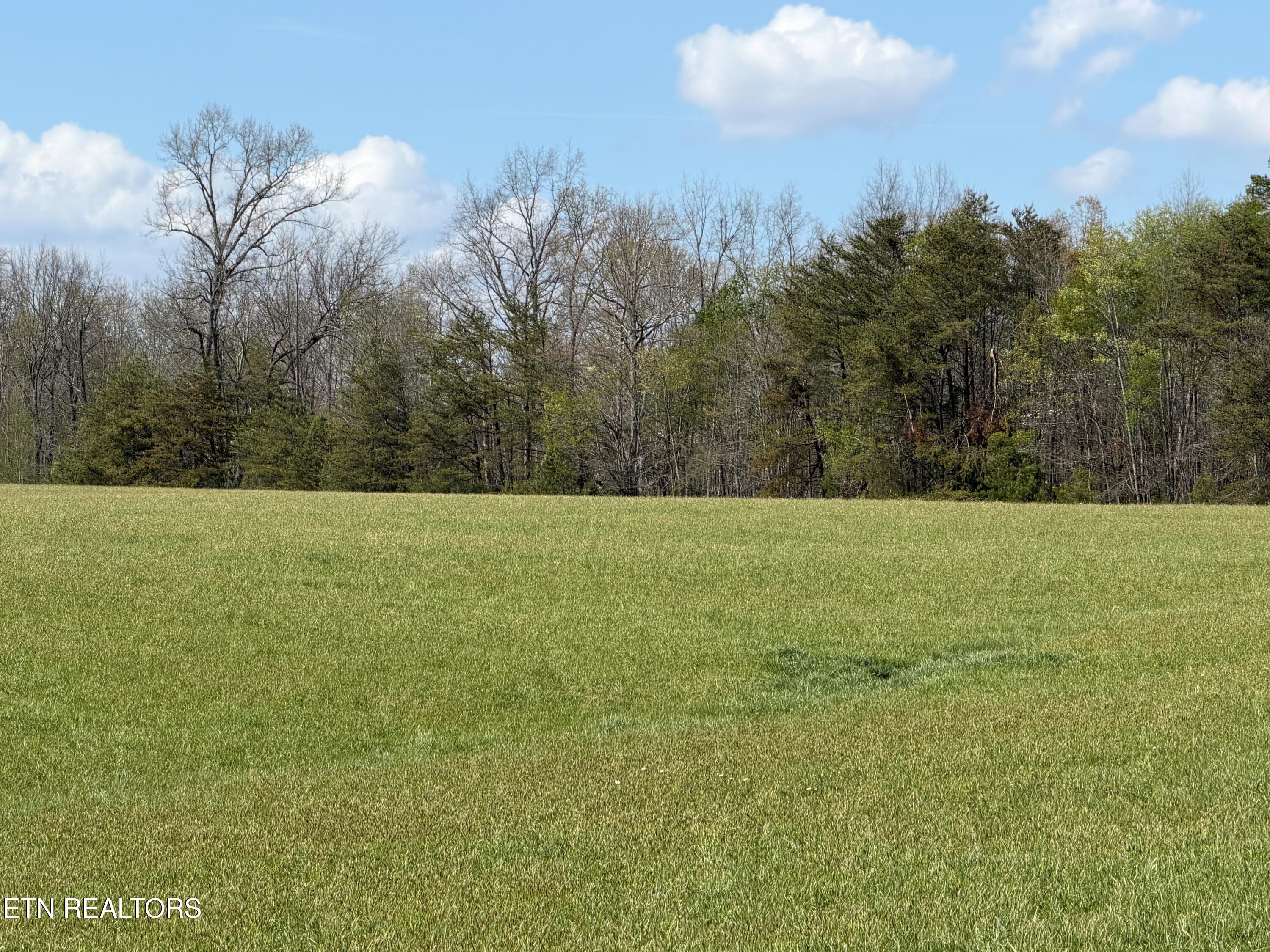 1342 Walt Reed Road Grandview, TN 37337 - Photo 5 of 13 Walt Reed Rd12