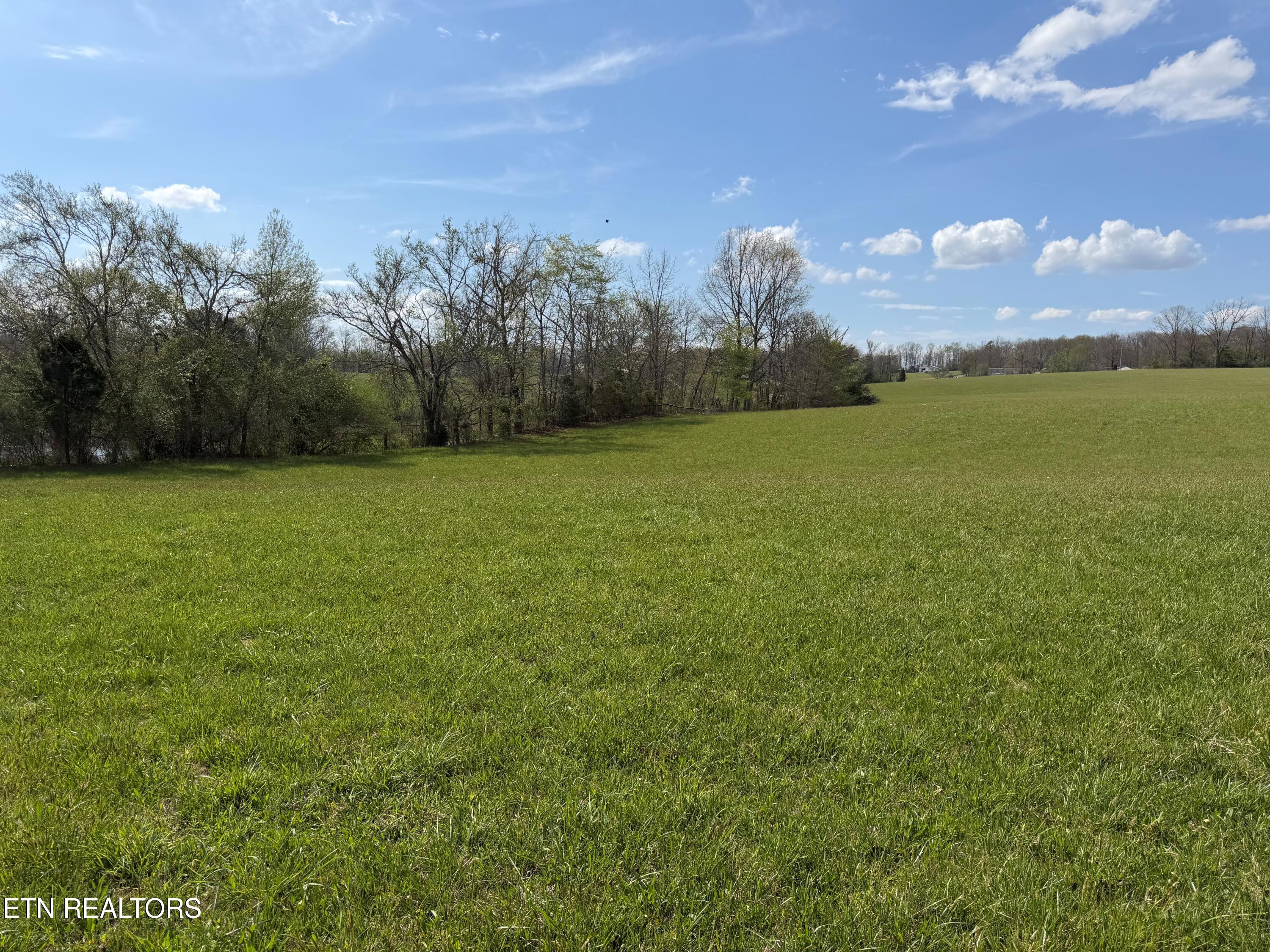 1342 Walt Reed Road Grandview, TN 37337 - Photo 8 of 13 Walt Reed Rd8
