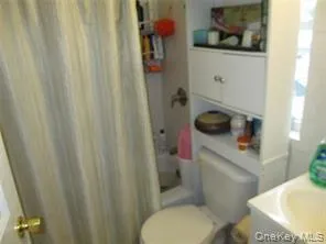 a white toilet sitting next to a shower curtain