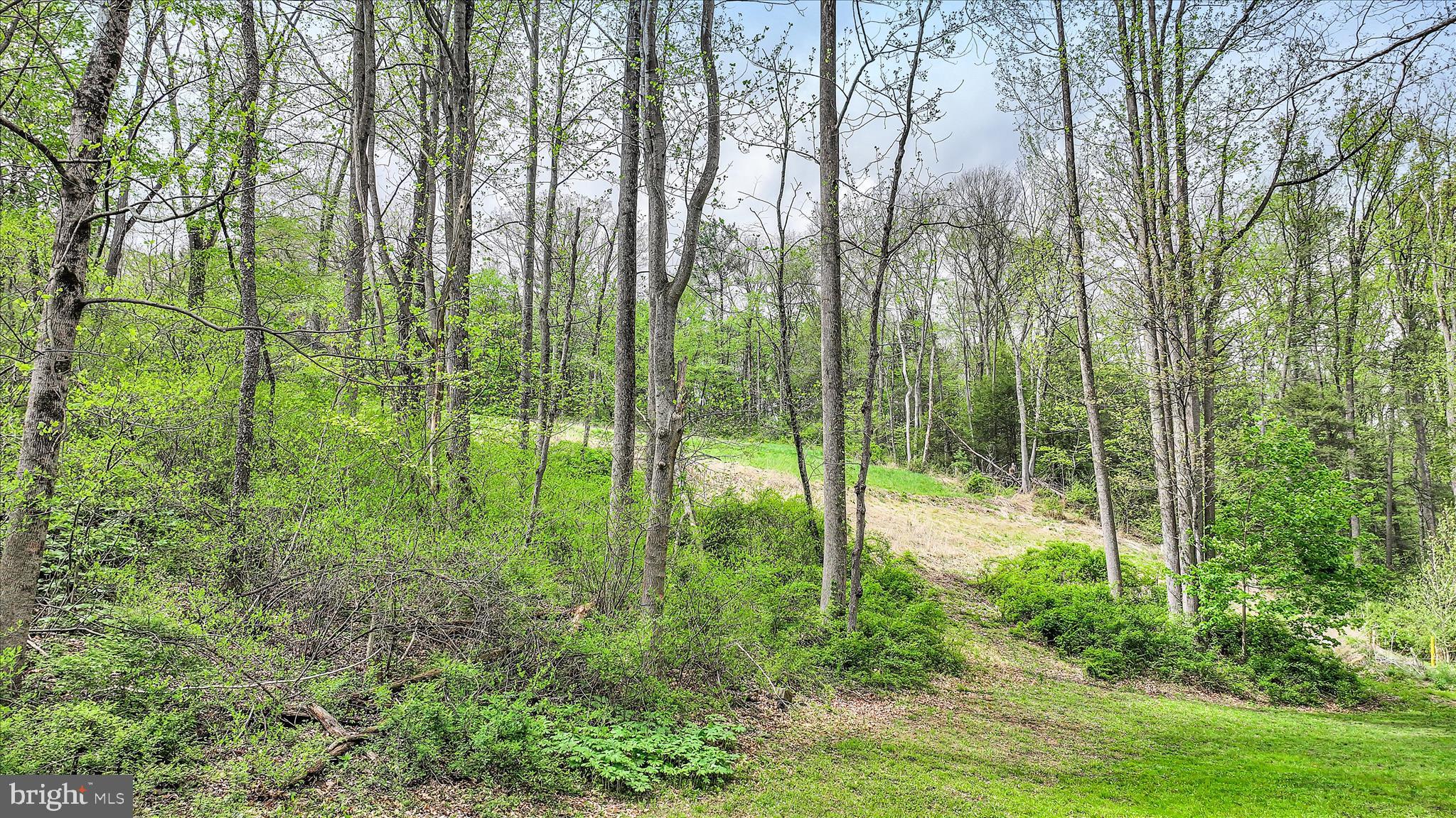 9 Gold Mine Road Jonestown, PA 17038 - Photo 8 of 10 Aerial