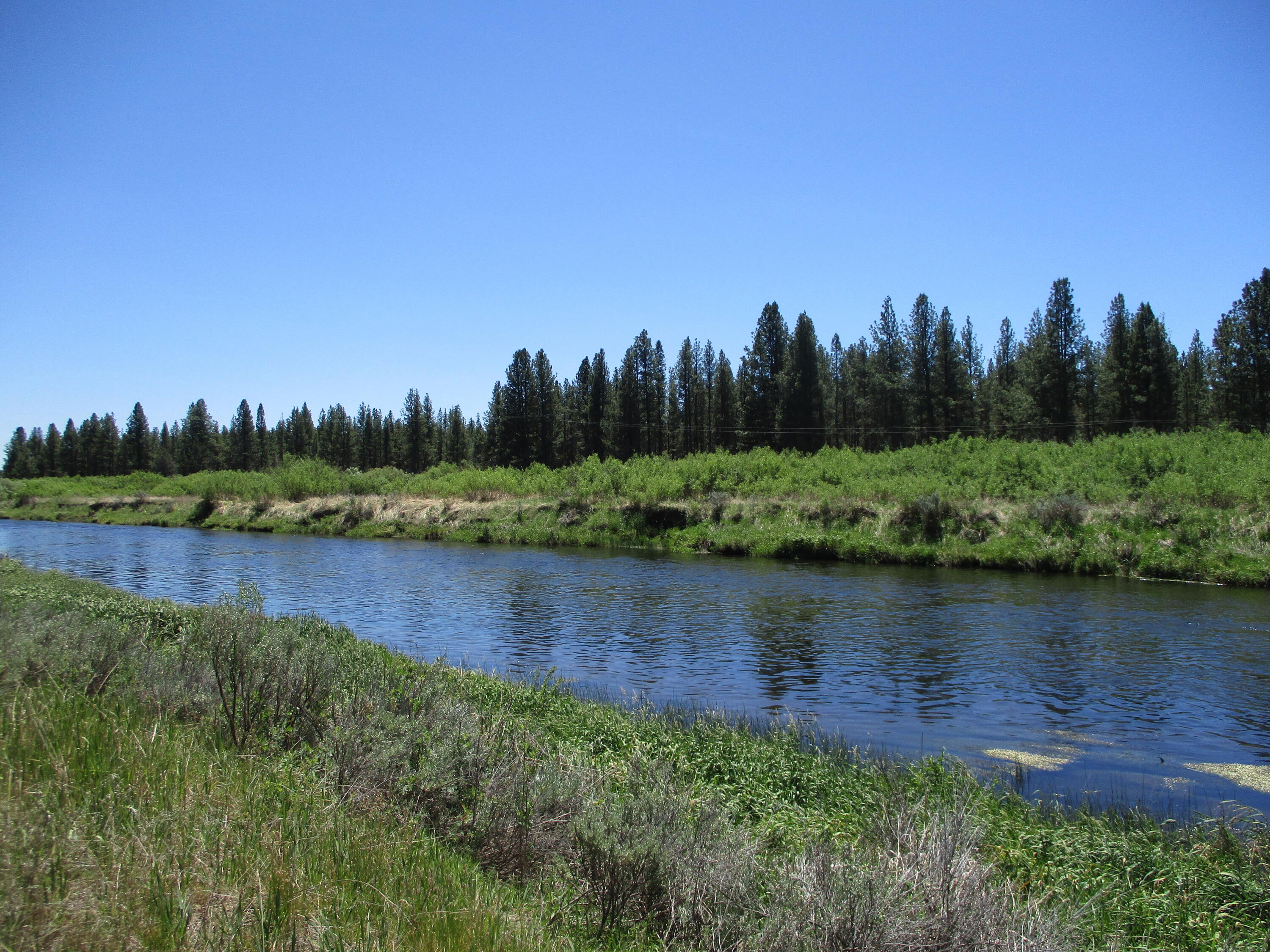 14914 Sprague River Road Chiloquin, OR 97624 - Photo 12 of 42 IMG_1062