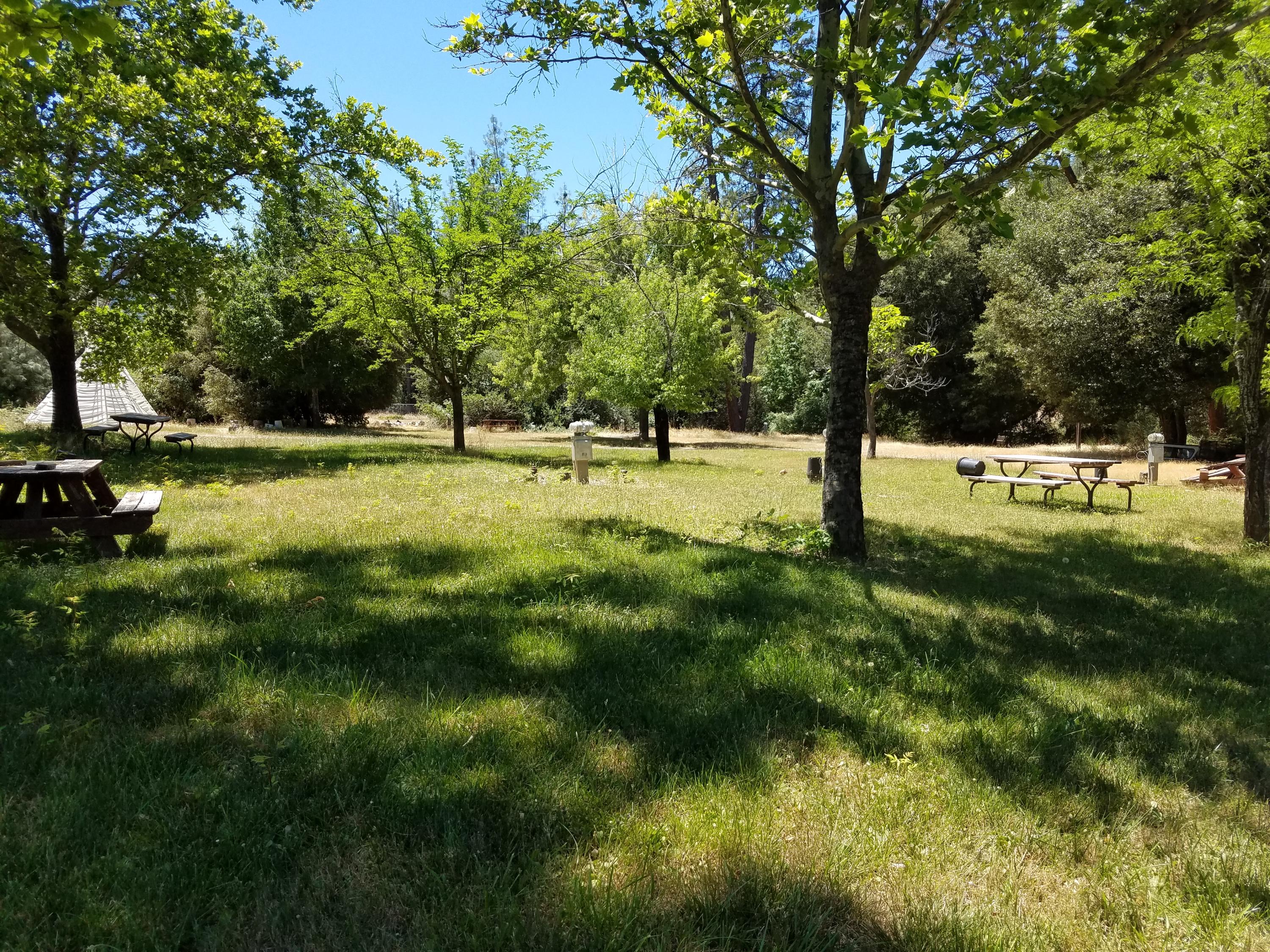 561 Deadwood Road Lewiston, CA 96052 - Photo 9 of 12 20170706_131538