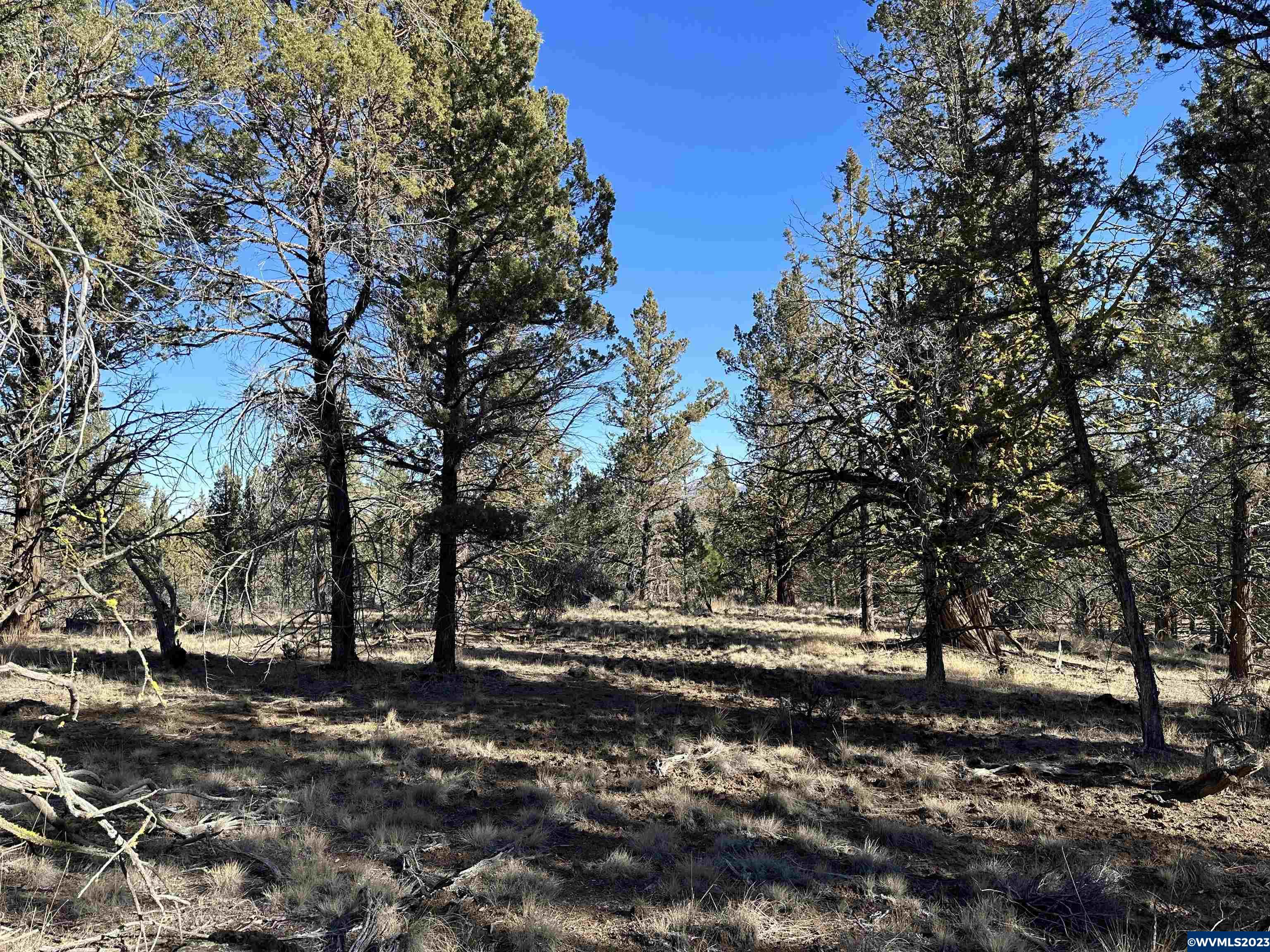 1300 Fishhole Creek Road Bly, OR 97622 - Photo 18 of 25
