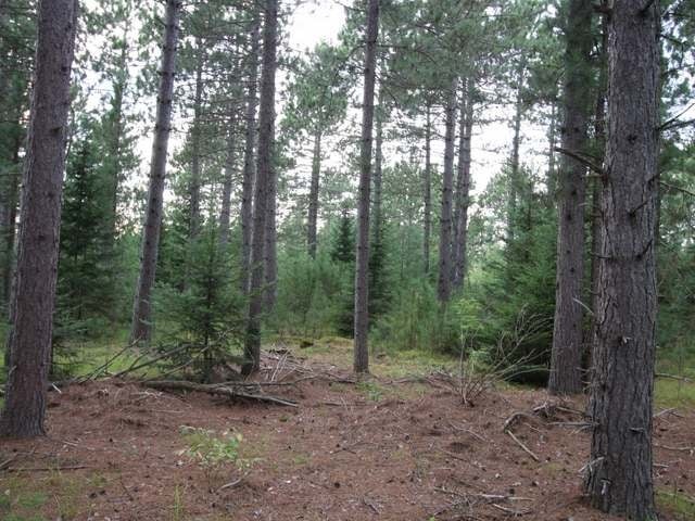 40 A Skunk Creek Road Rhinelander, WI 54501 - Photo 3 of 11 Gallery Image 3