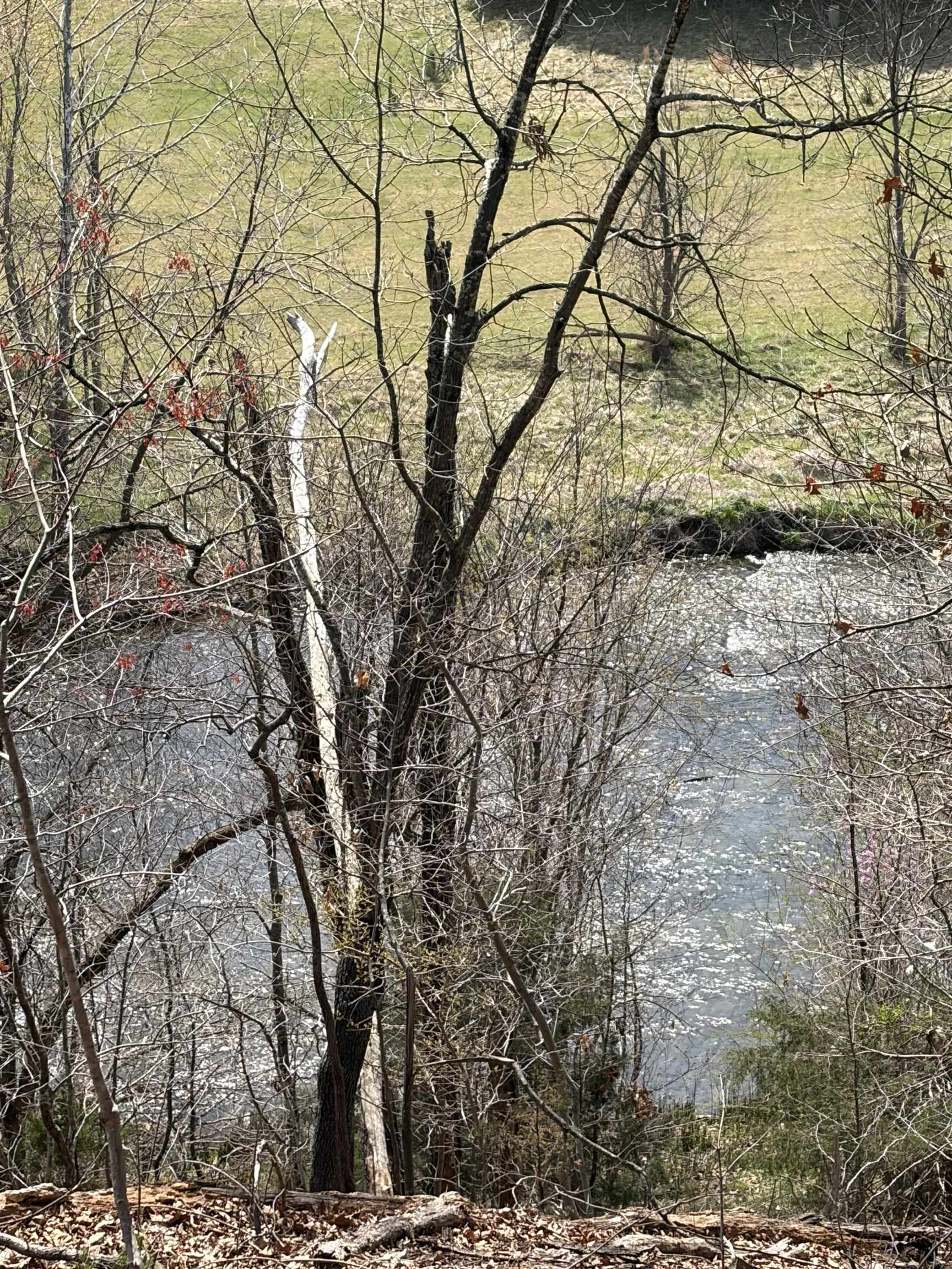 759 Rife's Ford Road Verona, VA 24482 - Photo 61 of 66 a view of a yard