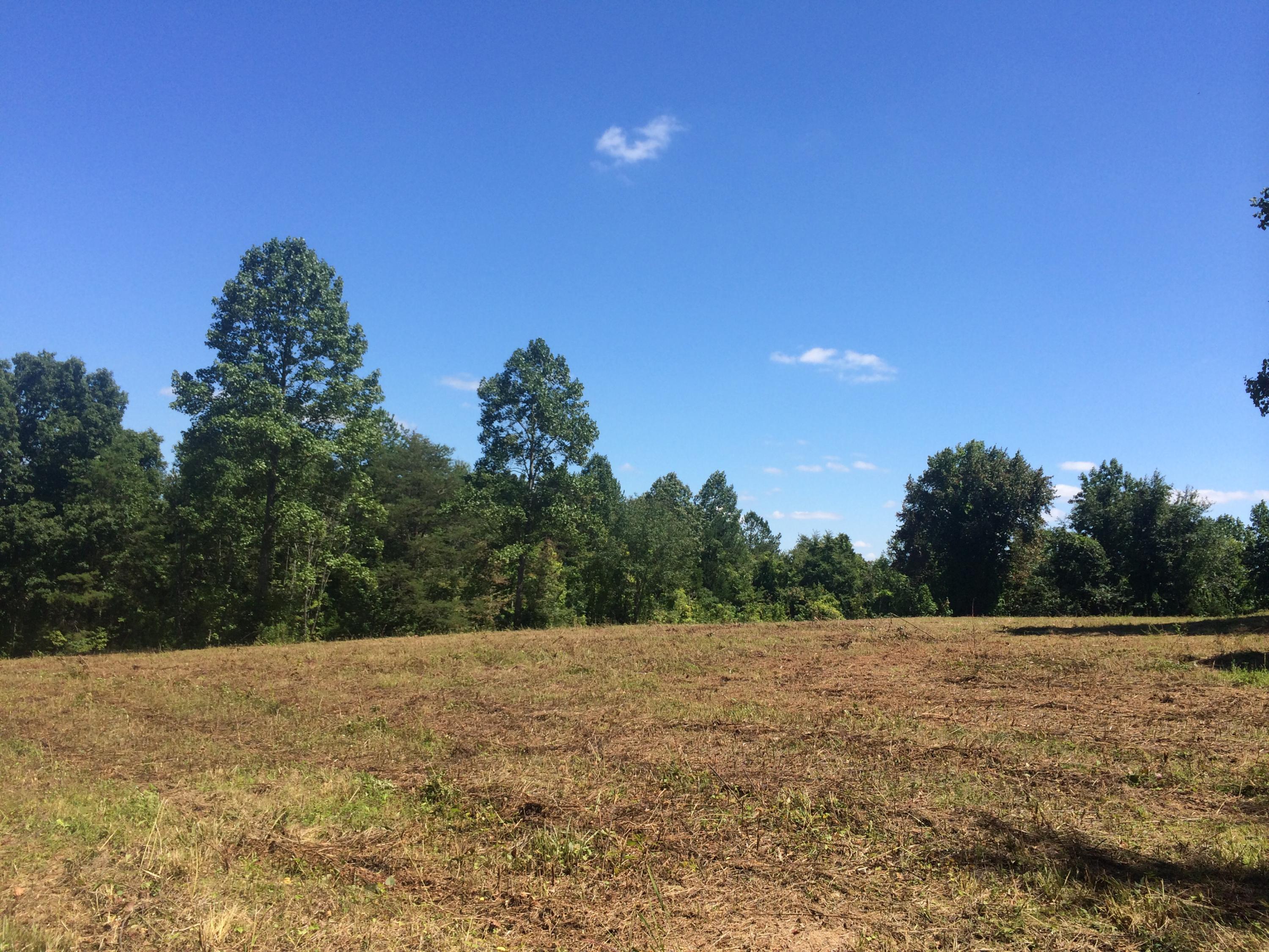 9701 Crisman Road Heiskell, TN 37754 - Photo 1 of 9 image