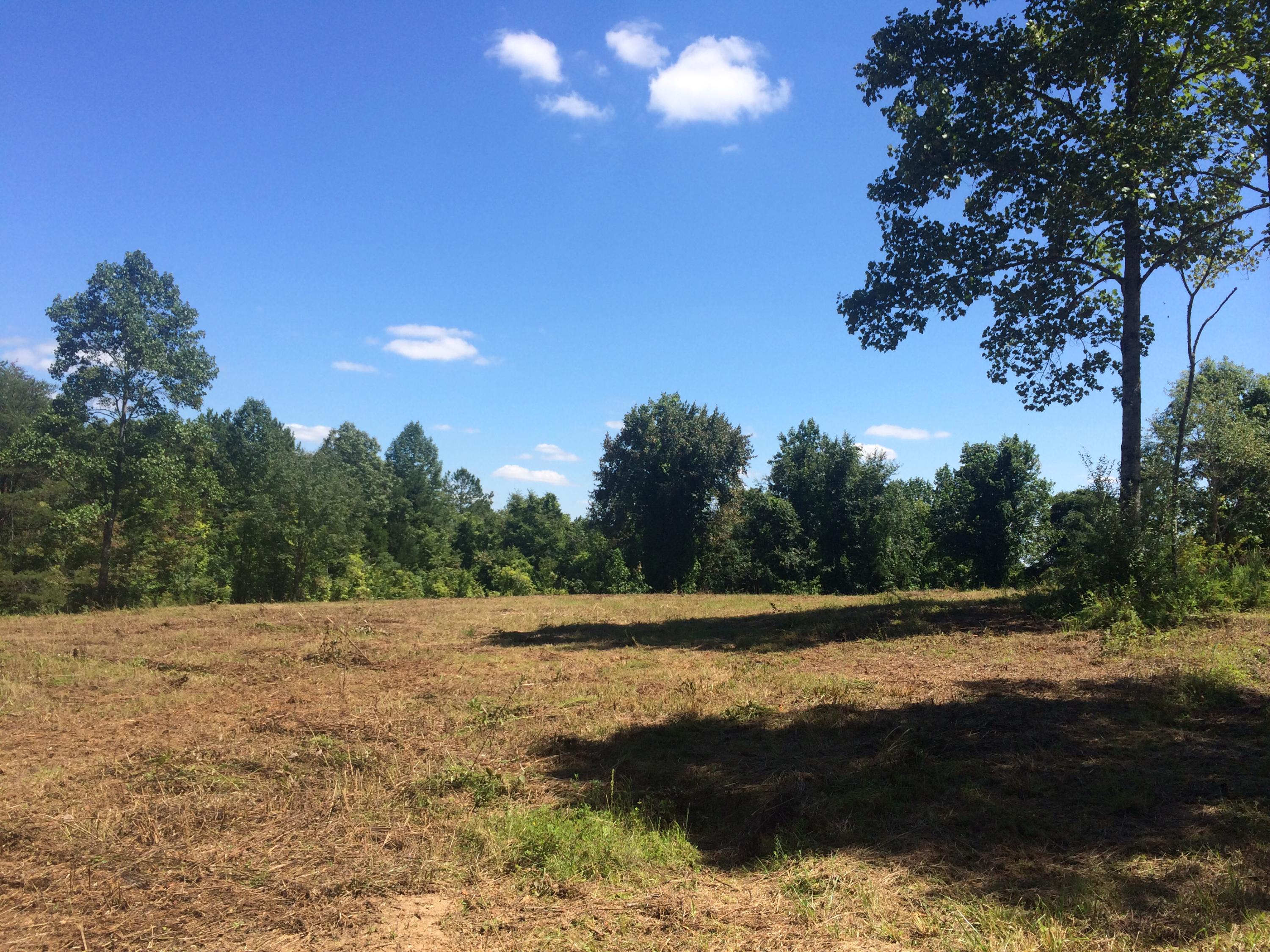 9701 Crisman Road Heiskell, TN 37754 - Photo 2 of 9 image