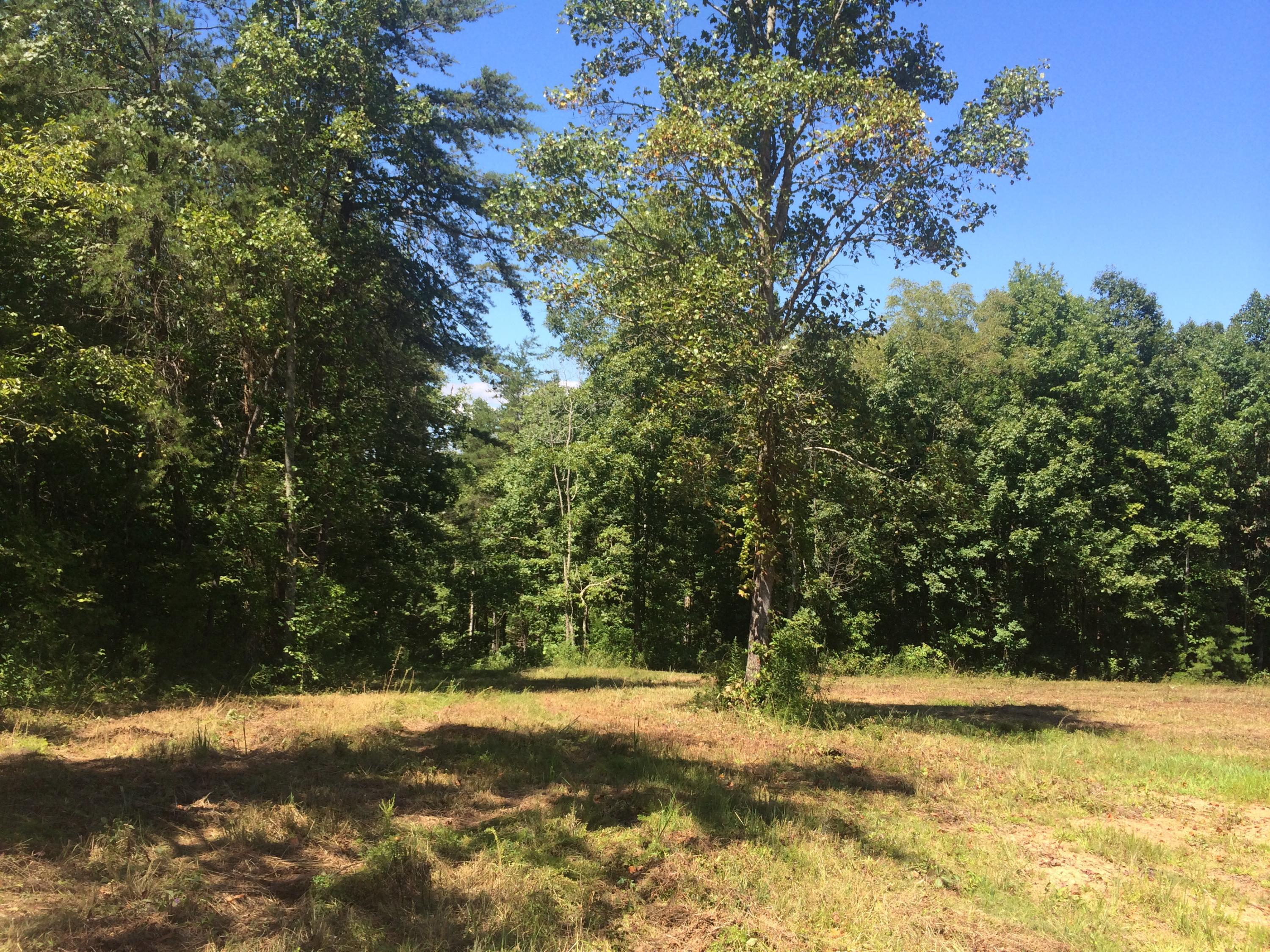 9701 Crisman Road Heiskell, TN 37754 - Photo 3 of 9 image