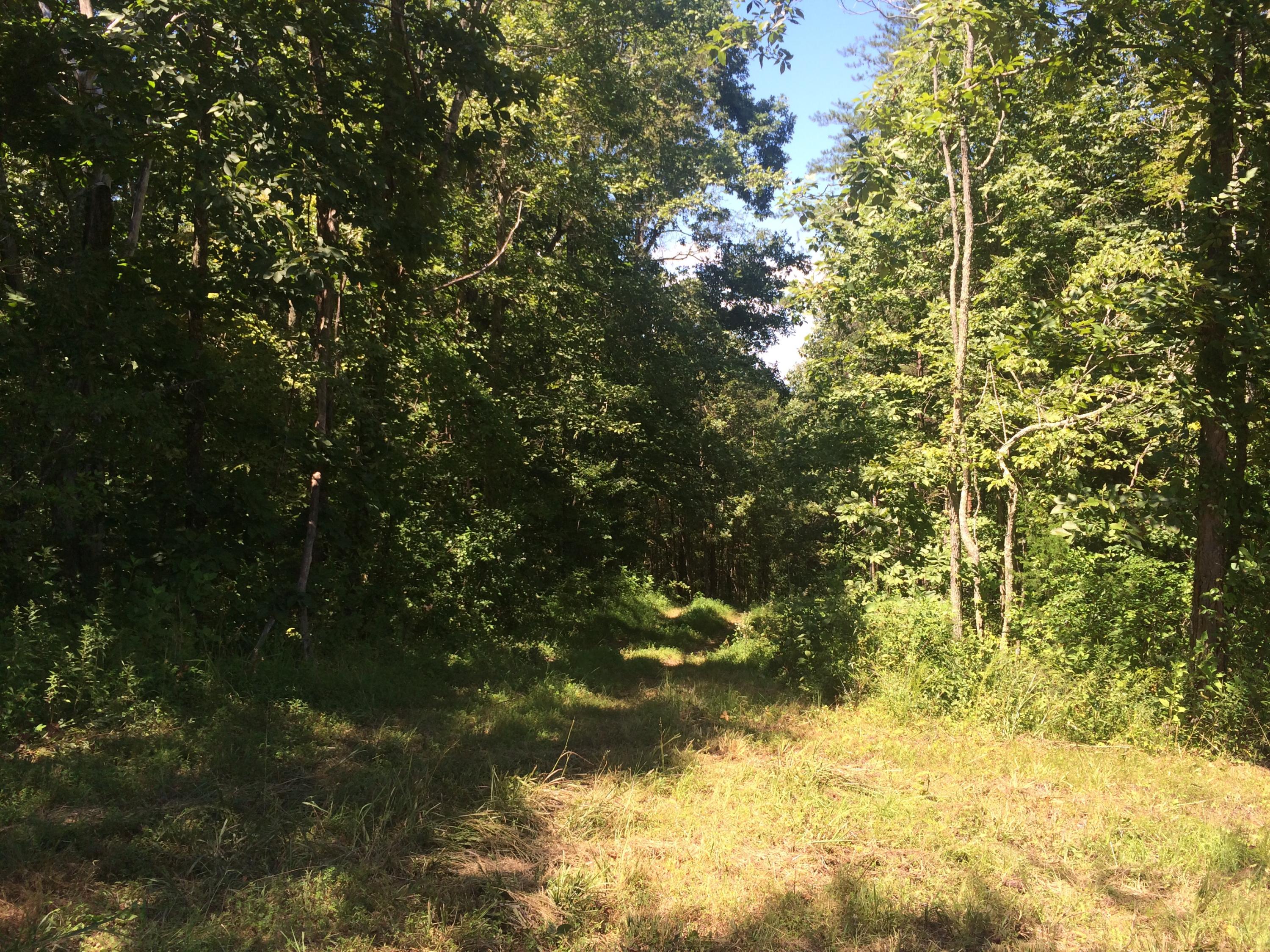 9701 Crisman Road Heiskell, TN 37754 - Photo 4 of 9 image