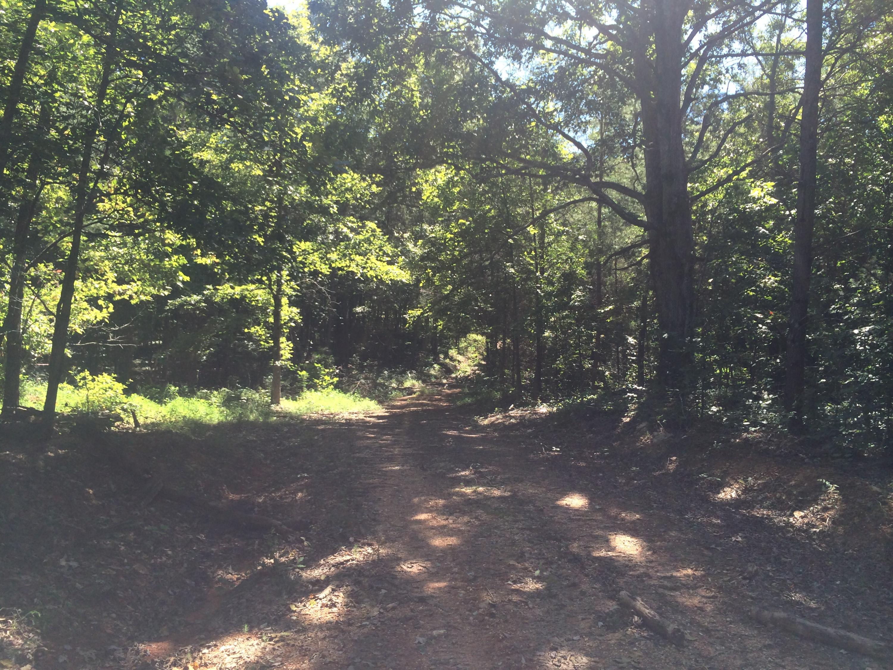 9701 Crisman Road Heiskell, TN 37754 - Photo 7 of 9 image