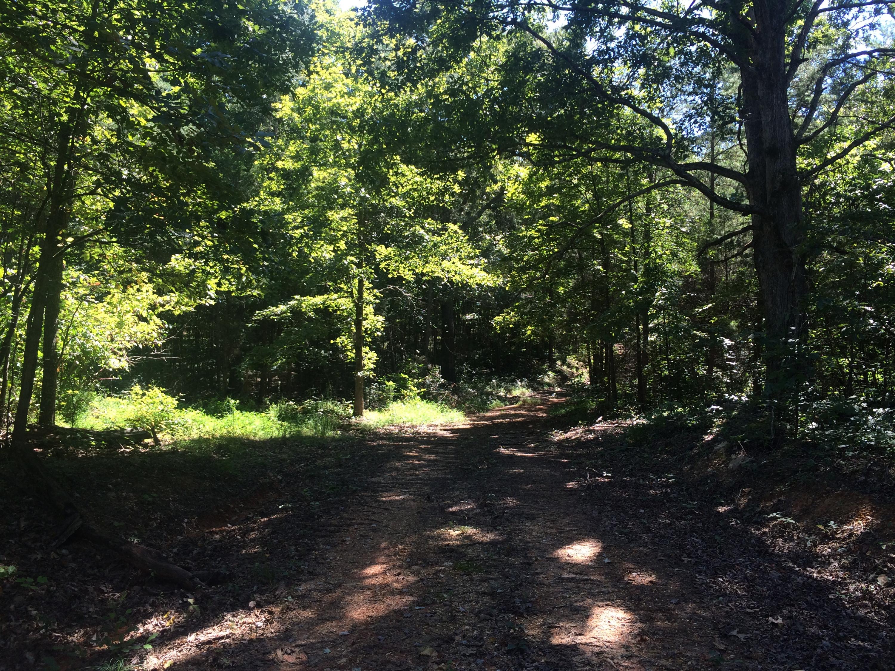 9701 Crisman Road Heiskell, TN 37754 - Photo 8 of 9 image