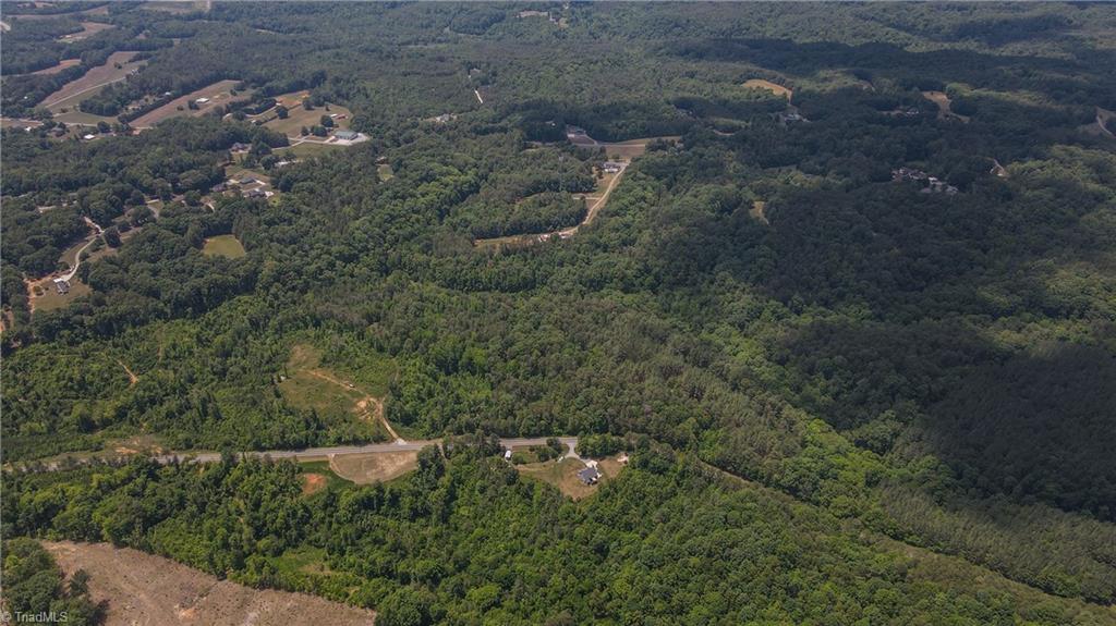 Xx 31.85-ac Xx 31.85-ac Hampton Road Germanton, NC 27019 - Photo 18 of 33
