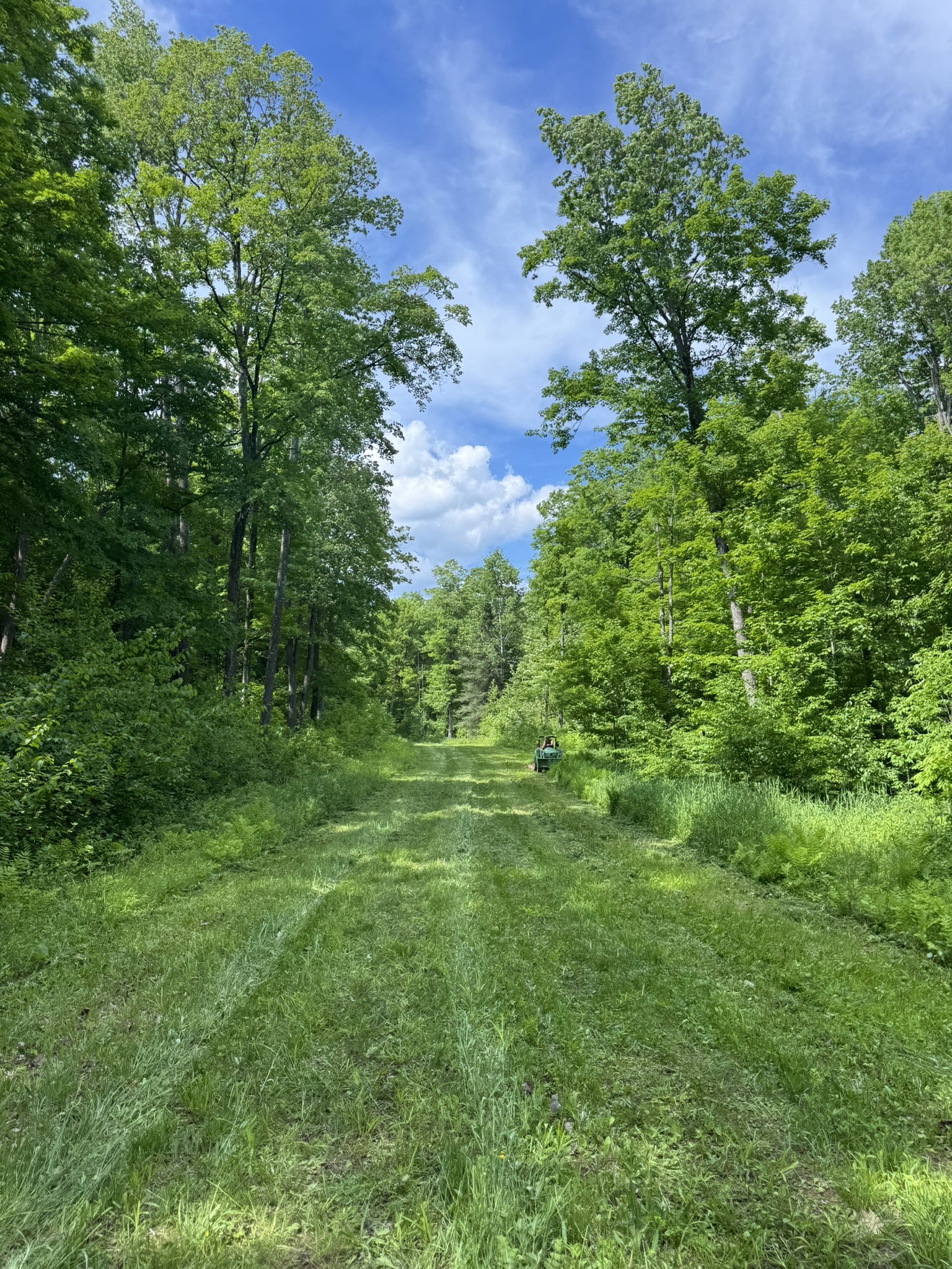 75134 West Road Butternut, WI 54514 - Photo 3 of 35