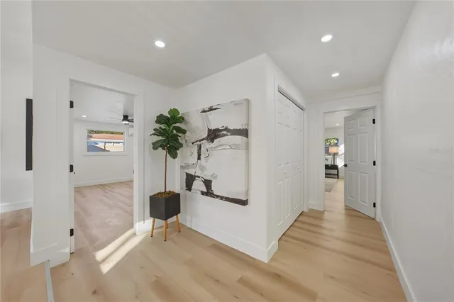 a view of a hallway with closet and a potted plant