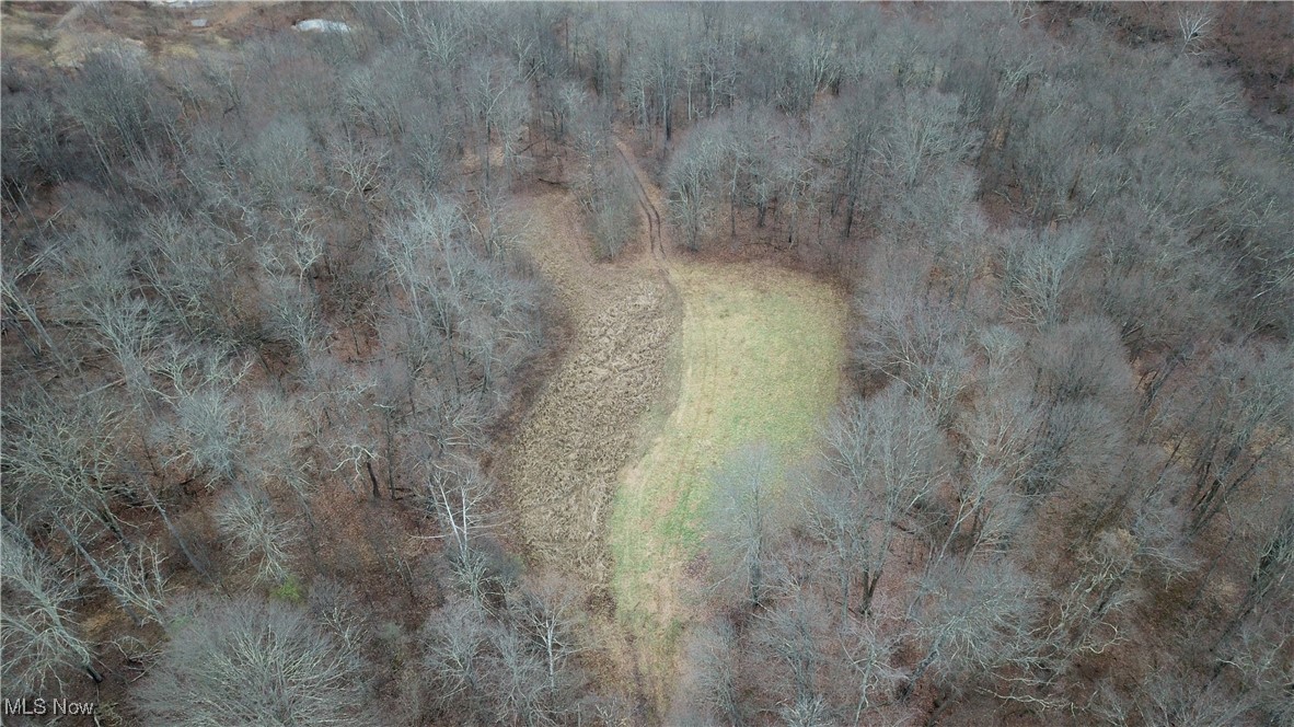 Brown Peavine Road Alledonia, OH 43902 - Photo 9 of 50