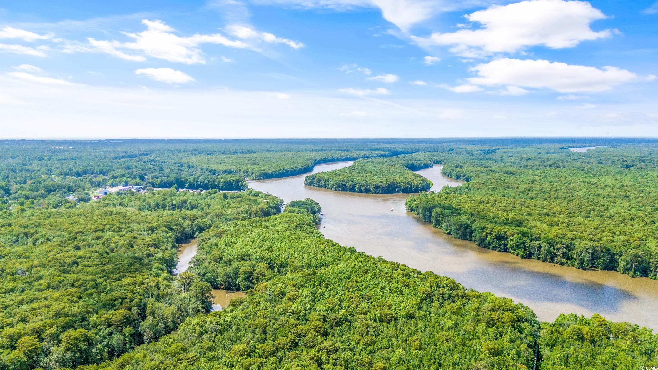 3005 Purity Place Loop Murrells Inlet, SC 29576 - Photo 32 of 36 Aerial view of a nearby body of water