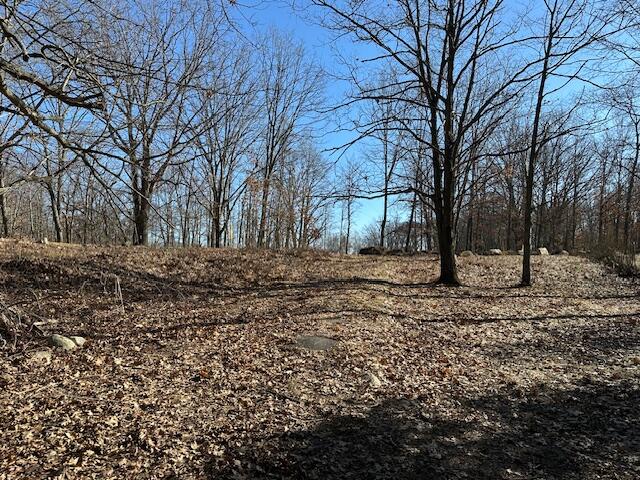 5993 Crepin Lane Hesperia, MI 49421 - Photo 13 of 15 5993WCrepin-Driveway
