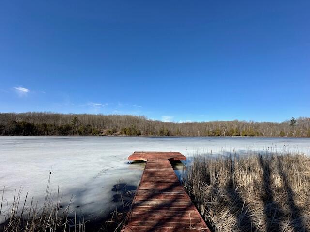 5993 Crepin Lane Hesperia, MI 49421 - Photo 2 of 15 5993WCrepin-Lake