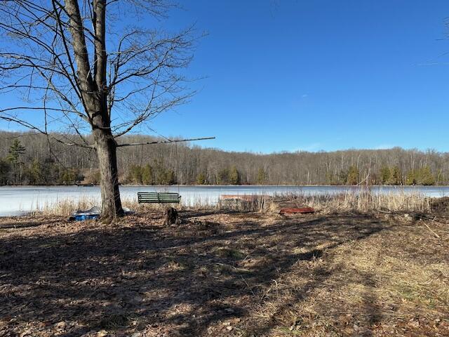 5993 Crepin Lane Hesperia, MI 49421 - Photo 4 of 15 5993WCrepin-LakeView