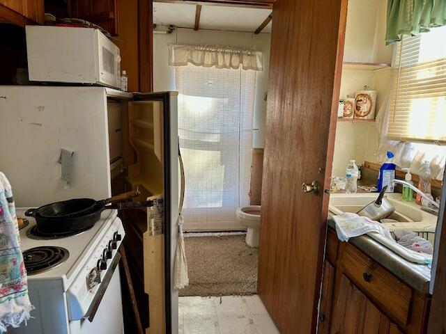 5993 Crepin Lane Hesperia, MI 49421 - Photo 9 of 15 5993WCrepin-Kitchen