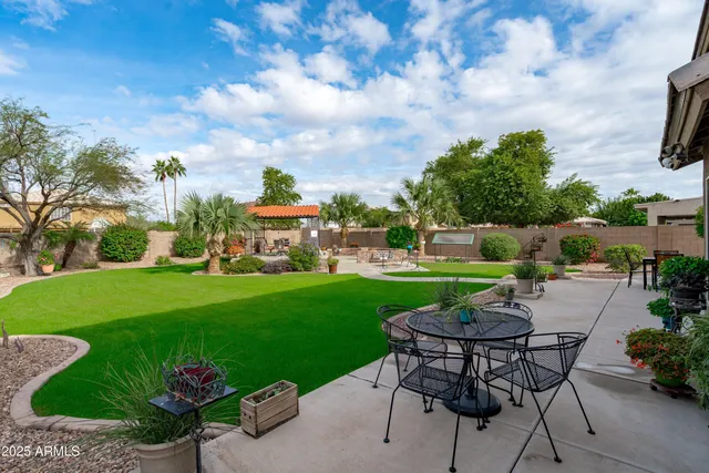 a view of a garden with plants and a bench