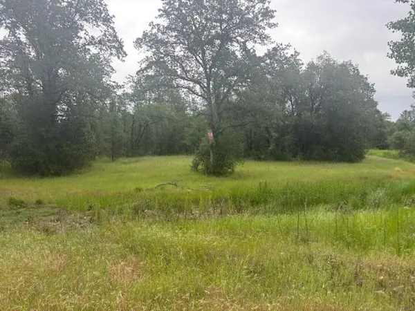 a view of outdoor space with a garden