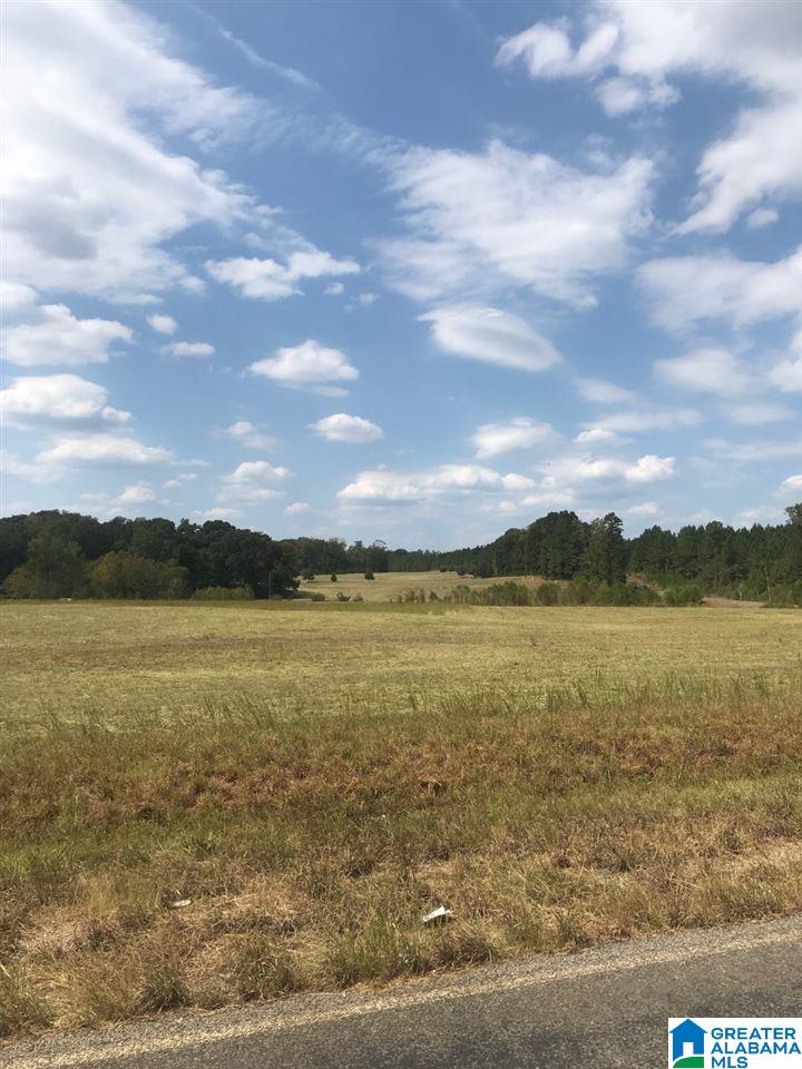 46 County Road, Unit 11A Montevallo, AL 35115 - Photo 3 of 3