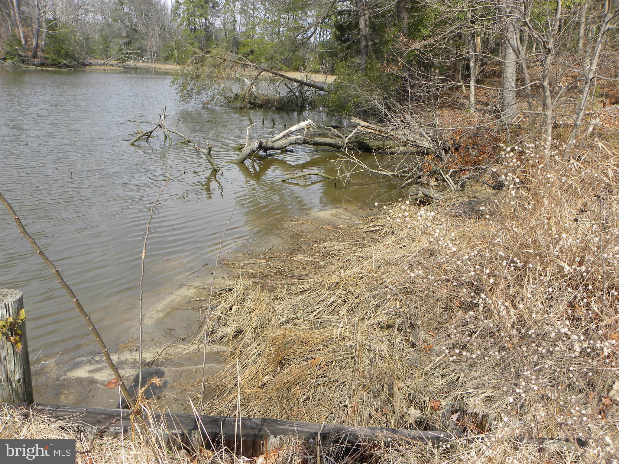 27 Russell Road Leonardtown, MD 20650 - Photo 20 of 26 Old boat ramp