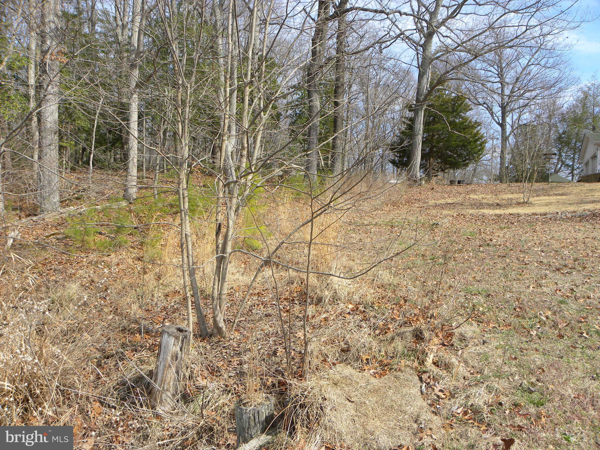 27 Russell Road Leonardtown, MD 20650 - Photo 21 of 26 Grown over concrete part of old boat ramp