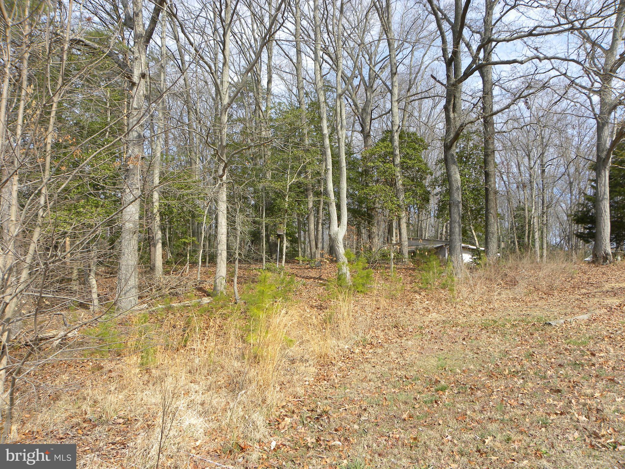27 Russell Road Leonardtown, MD 20650 - Photo 23 of 26 View from water